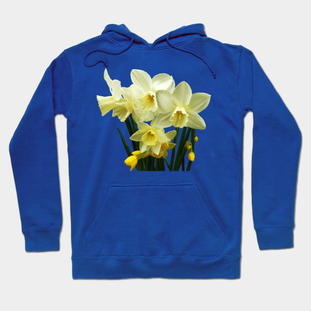 Daffodils - Daffodils and Buds Hoodie by SusanSavad